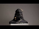 Odoo Video